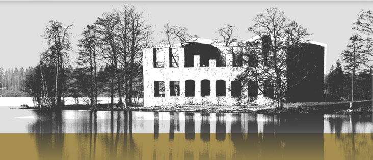 Eksjöhovgårds slottsruin